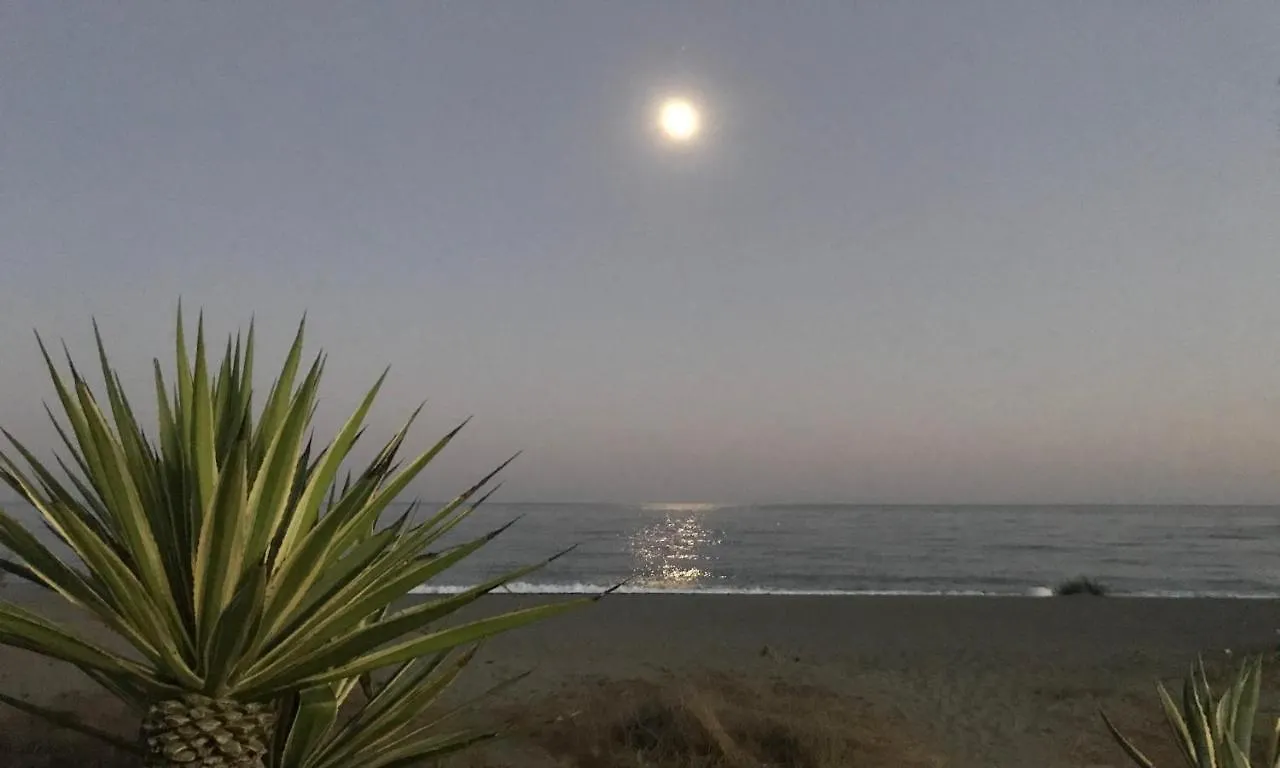 Oasis Costalita Estepona I